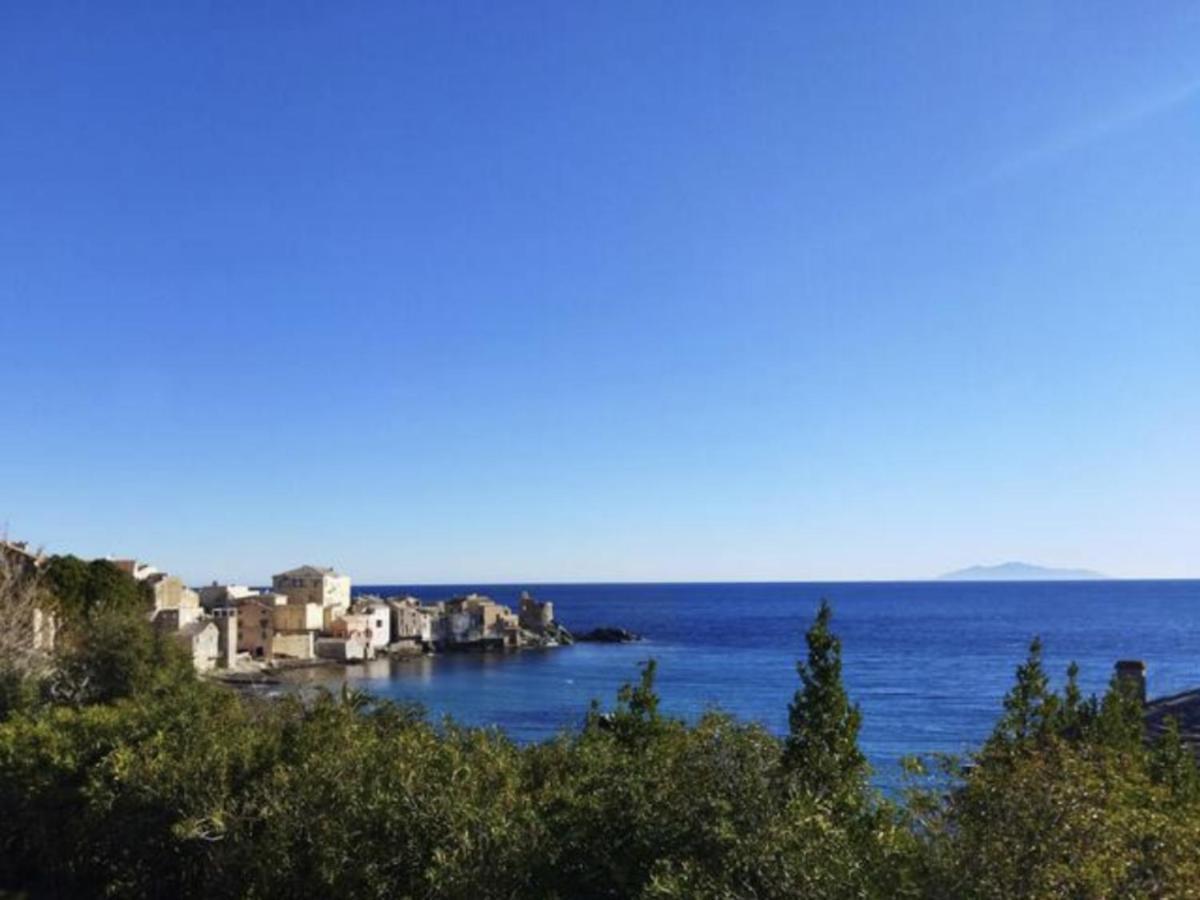 Ferienwohnung Beau T2 Au Calme A Deux Pas Du Port D'Erbalunga Erbalunga  Exterior foto